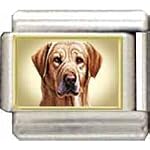 labrador charm