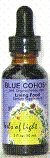 Blue Cohosh - 1 oz - Liquid
