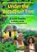 Under the Breadfruit Tree: Island Poems by Monica Gunning
