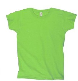 Ladies Heavyweight T-Shirt