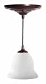 : Worth Home Instant Pendant Light Kit (PKN-0230)