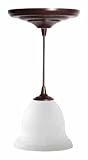 Review WORTH HOME PRODUCTS PKN-0230 / : Worth Home Instant Pendant Light Kit (PKN-0230)