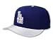 Los Angeles Dodgers Cap - New Era 5950 Alt Cap