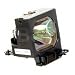 Sony LMP-P200 Lamp for VPL-PX20/PX30 and VW10HT Projectors
