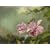 Martin Johnson Heade: A Survey : 1840-1900