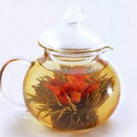 Glass Teapot Teahouse 1 CountB000MPKCG0