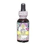 Nature's Answer - Fo-Ti Cured Root, 2000 mg, 2 fl oz