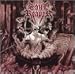 Soul Reaper - Written in Blood