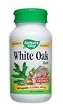 White Oak Bark - 100 - Capsule White Oak Bark - 100 - Capsule