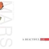 Beautiful Lie