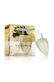 Bath and Body Creamy Pumpkin Wallflower Refill X2
