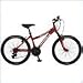 Mongoose Montana 24