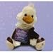 Shining Stars Ostrich