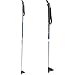 Alpina ASC ST Cross Country Ski Pole