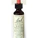 Bach Flower Essences Flower Essence White Chestnut