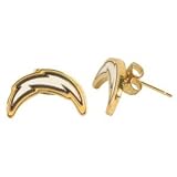 San Diego Chargers NFL Gold Tone Stud Earrings