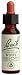 Wild Oat 20 ml ( Bromus ramosus ) Bach Flower Essences
