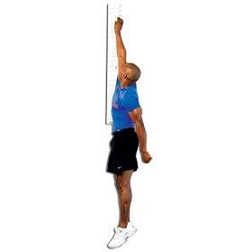 Wall-Mounted Vertical Jump Tester