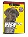 NEAPOLITAN MASTIFF DVD! + Dog & Puppy Training Bonus