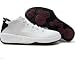 Nike Air Jordan XX 20 3/4 (white / silver / deep garnett)