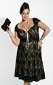 Igigi Adriana Lace Plus Size Dress with Shrug