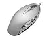 Electronics : Irocks Regular Size 800 Dpi Optical Mouse