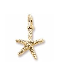 Starfish Charm