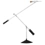 Halley Adjustable LED Silver Finish Desk Lamp