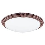 Ceiling Fixtures Sea Gull Lighting 59060BLE