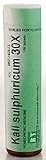 Boericke & Tafel Homeopathics - Kali Sulphuricum-30X - Single Remedies 30x
