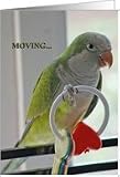 Moving... Card