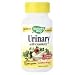 Urinary formula is an advanced dietary supplement representing the powerful synergy of current science and traditional herbal medicine. Key ingredients include concentrated cranberry fruit and dandelion leaf. Urinary formula uses concentrated cranberry fruit, to maintain a healthy urinary tract. Dandelion leaf, traditionally used for supporting regular urination. Goldenseal root, a popular herb containing berberine, and often recommended for urinary tract health, and herbs Marshmallow Root and Corn Silk, historically used to soothe the urinary tract.