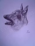 Dog 2, Drawing by Nga Vo, Original
