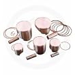 Wiseco Piston Kit Pro-Lite .040 (84 mm) POLARIS 400L 2X4 SCRAMBLER 400 2x4 SCRAMBLER 400 4X4 SPORT 400L XPLORER 400 4X4 XPRESS 400