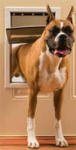 PetSafe Freedom Flap Large 10 1/8 x 15 3/4