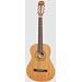 Epiphone Classical Guitar C-5