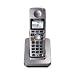 Electronics : Panasonic 5.8 Ghz Platinum Cordless Phone (KX-TGA600M)