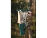 Suet Feeder W/Tail Prop Hunter Green