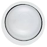 8923PBLE-15 - SeaGull Lighting Two-Light Piedmont Fluorescent Wall Lantern
