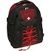 DN-SLBB01　スイストラベルプロダクツ　SwissLine-Davos-Backpack