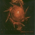 Buried Dreams lyrics