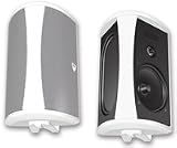 Definitive Technology AW 5500 Outdoor Speaker (Single, White)