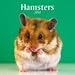 Hamsters 2010 Wall Calendar