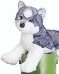 21NtR5VR1gL Stuffed Sasha Husky Dog 16