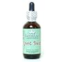 Wisdom Natural Brands Stevia Root Beer 2 oz