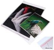 Print File Crystal Clear Art Protectors 4-1/4x6-1/8" Package of 100, Resealable Adhesive Strip (BOPP46)