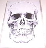 AutoTechnica 460800 2 Skull Tattoos, Outlined 