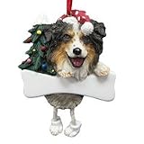 【ダングリング・レッグ オーストラリアン・シェパード 】 Dangling Leg - Australian Shepherd