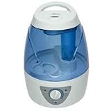 31006 Humidifier