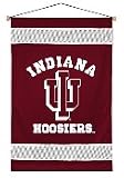 Indiana Hoosiers SideLines Wall Hanging - (29.5x45)
